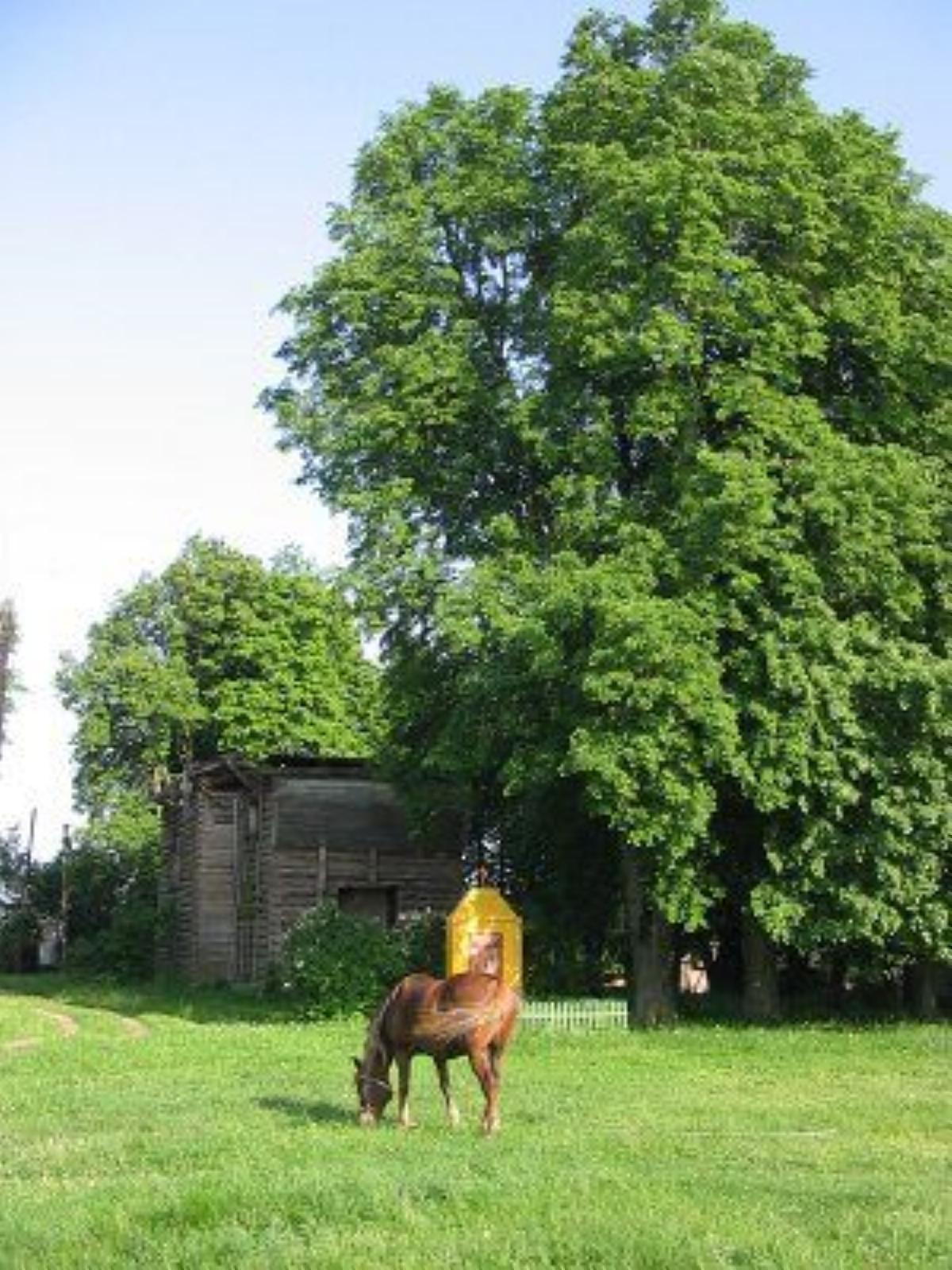 Фотозарисовки Фотозарисовки