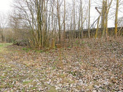 Кладбище солдат 1-й мировой войны