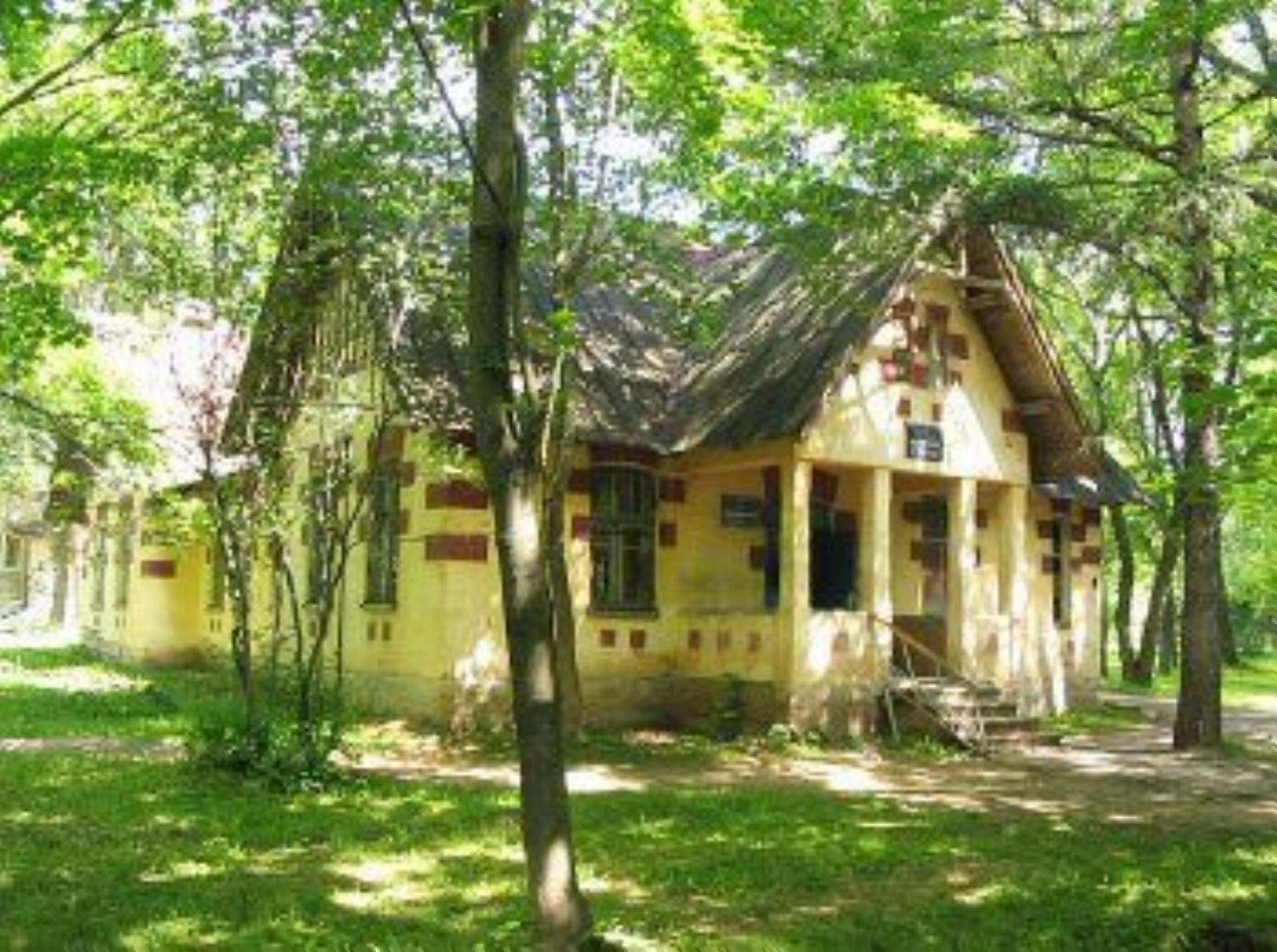 Флигель Флигель