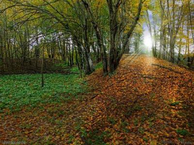Земляные укрепления замка