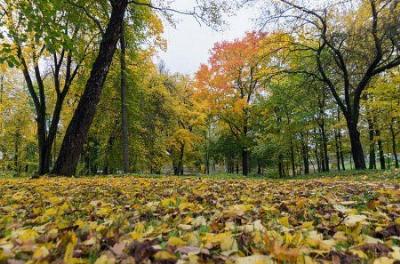 Парк (фрагменты)