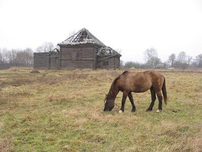Фотозарисовки