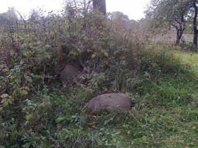 Кладбище еврейское