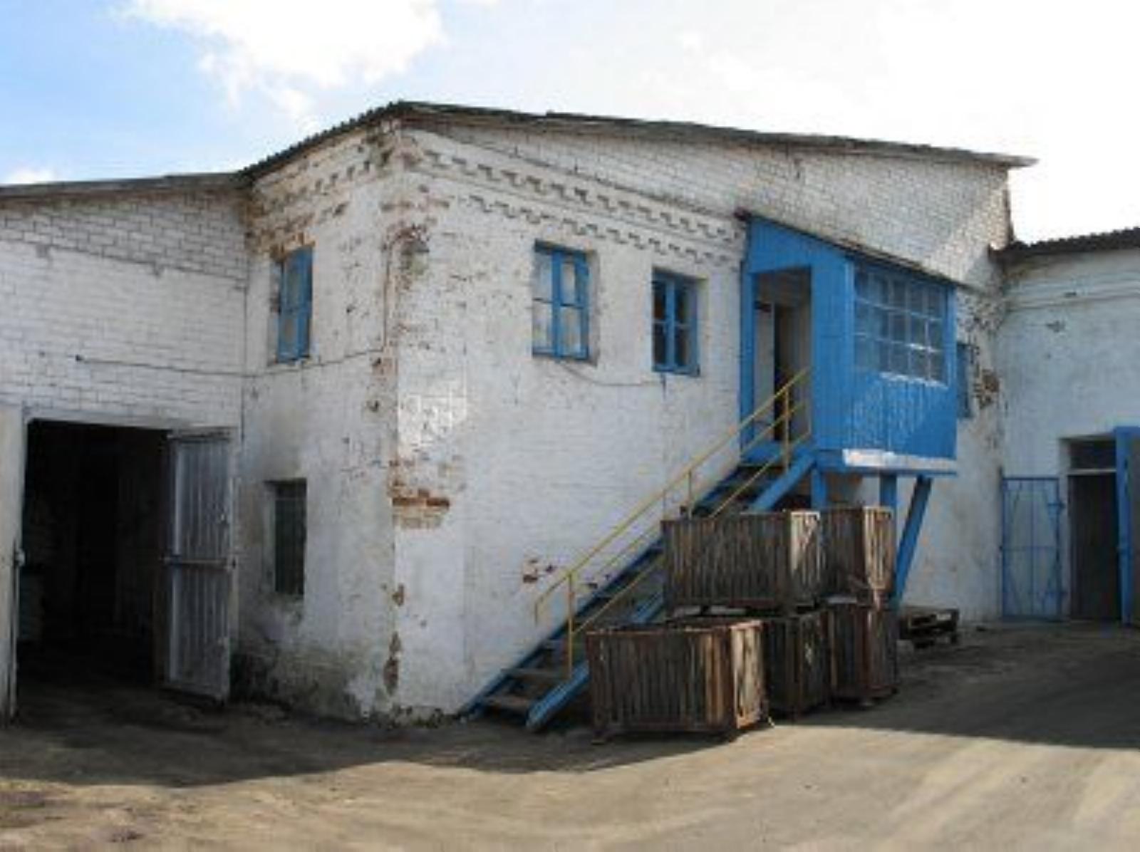 Синагога Синагога