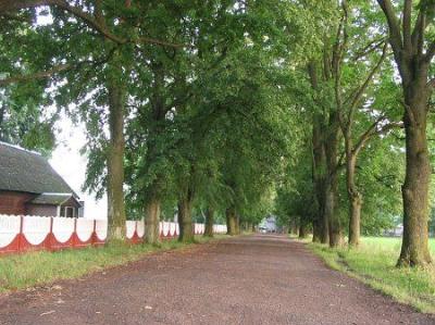 Парк (фрагменты)