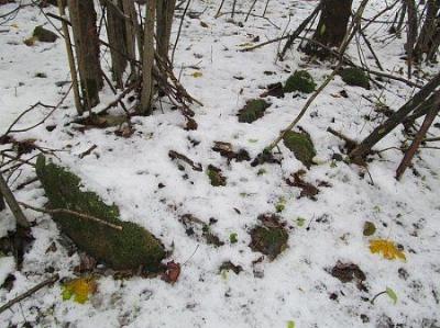 Каменные могилы Языческое кладбище (археол.)