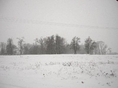 Парк (фрагменты)