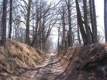 Парк (фрагменты)