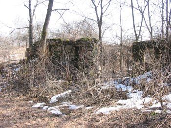 Хозпостройка (руины)