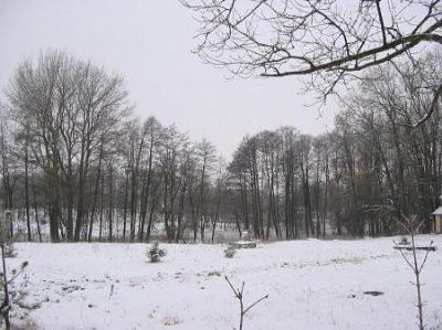 Парк (фрагменты)