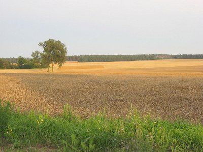 Фотозарисовки