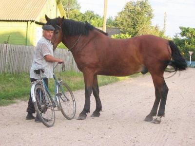 Фотозарисовки