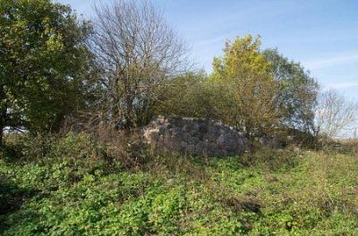 Винокурня (?) /сохр. частично/