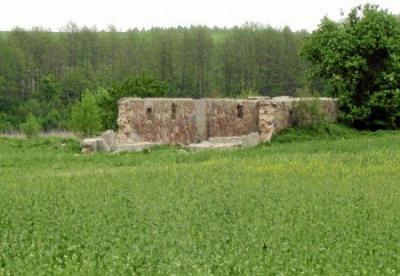 Хозпостройка (руины)