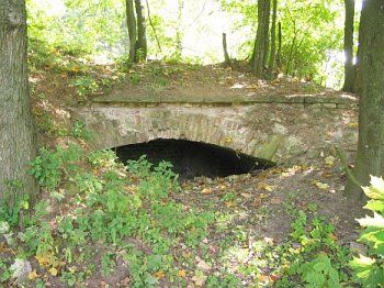 Усадебный дом /сохр. подвалы/