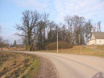 Парк (фрагменты)