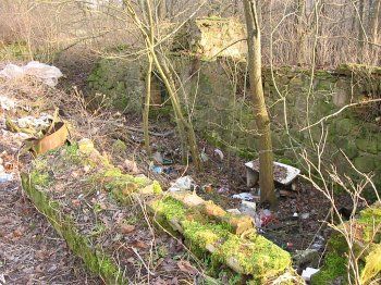 Хозпостройка (руины)