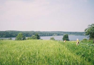 Фотозарисовки