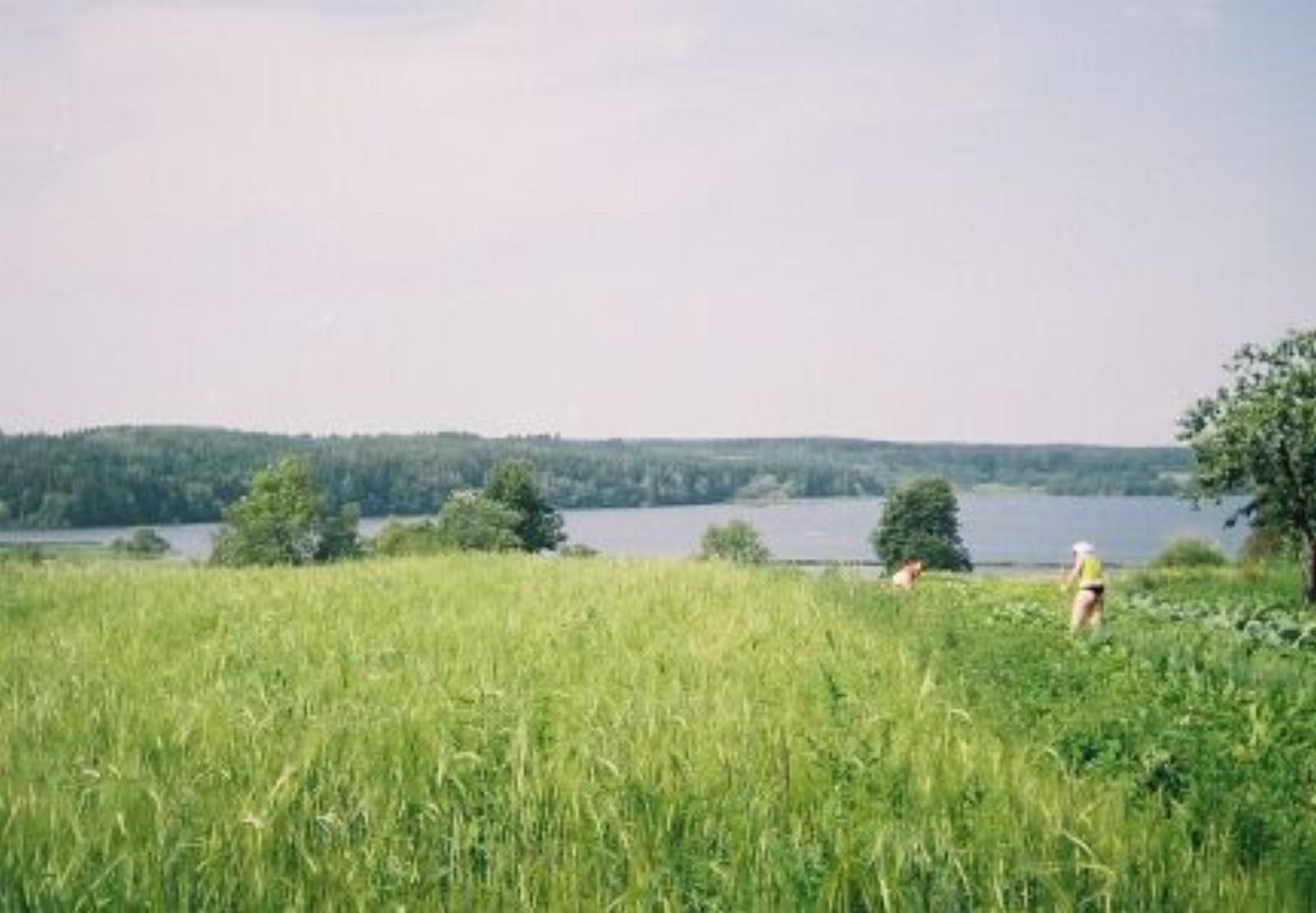 Фотозарисовки Фотозарисовки