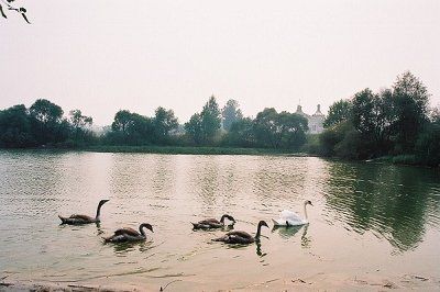 Фотозарисовки