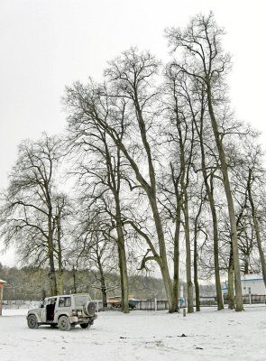 Усадьба Михаловка