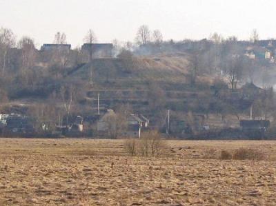 Городище Девичья гора (археол.)