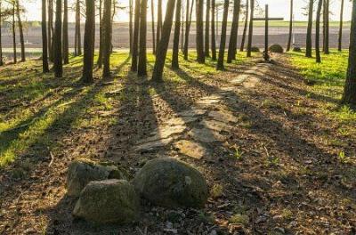 Кладбище солдат 1-й мировой войны