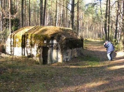 Дот русский