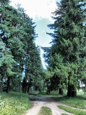 Парк (фрагменты)