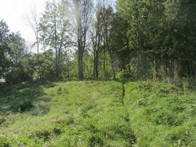 Замчище (археол.)