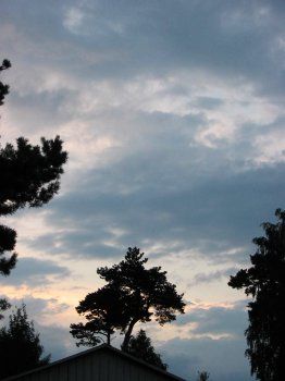 Фотозарисовки