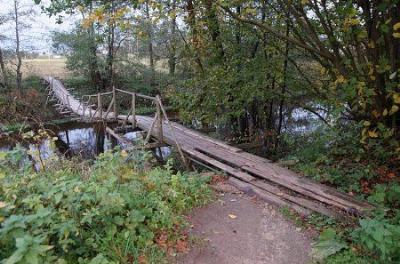 Мост подвесной (дерев.)