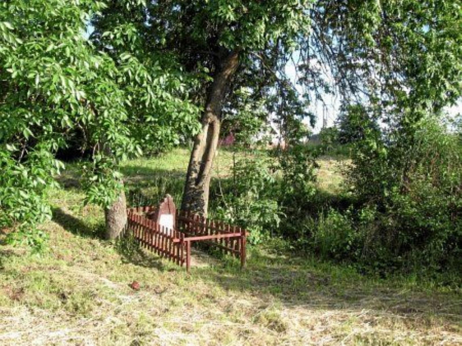 Братская могила красноармейцев Братская могила красноармейцев