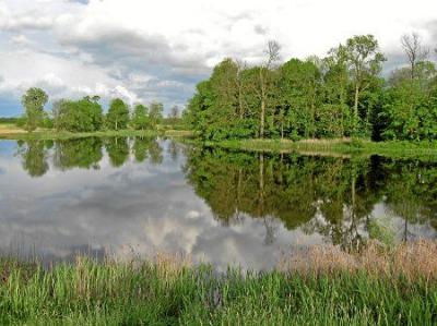 Парк (фрагменты)