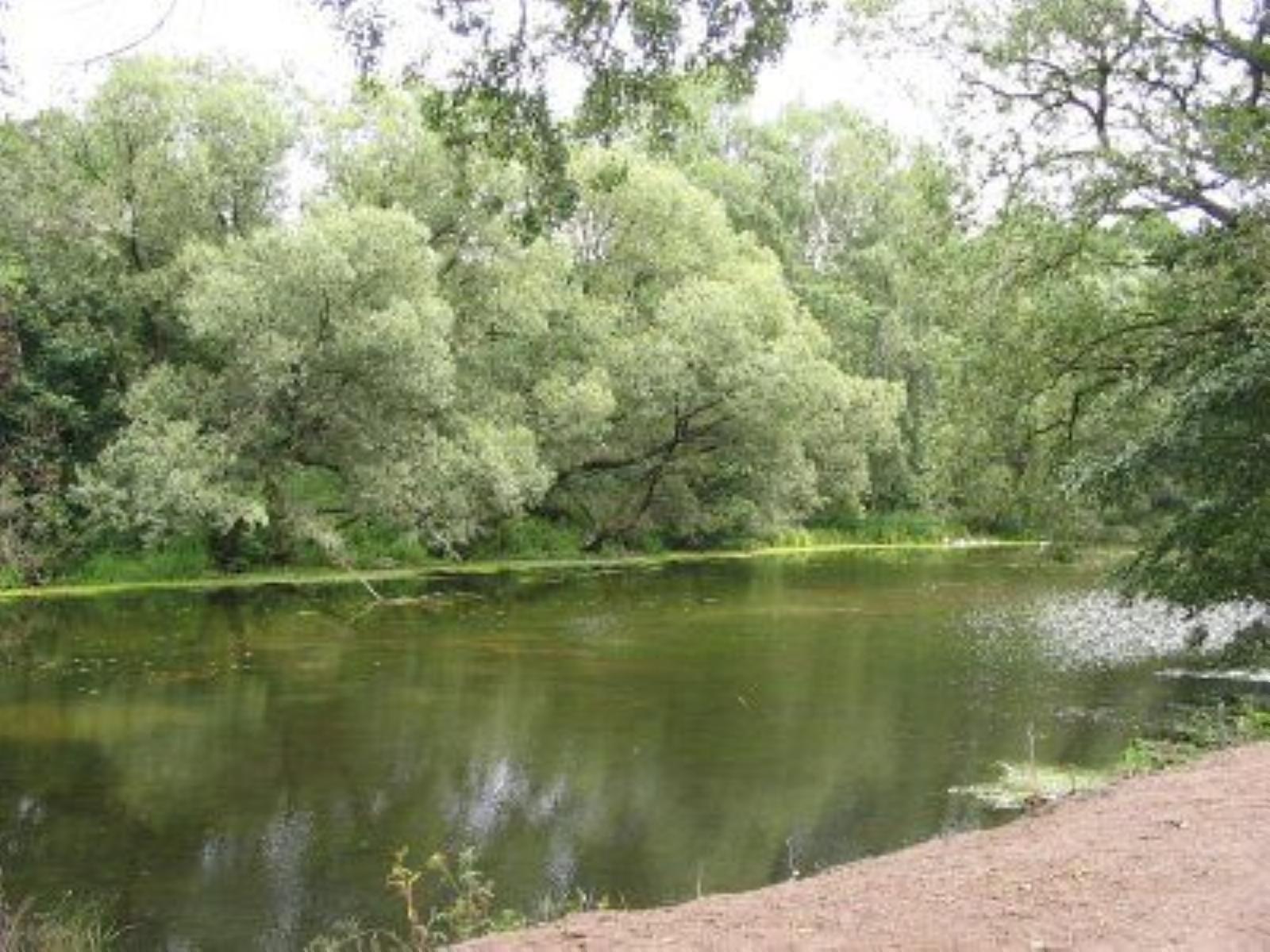 Фотозарисовки Фотозарисовки