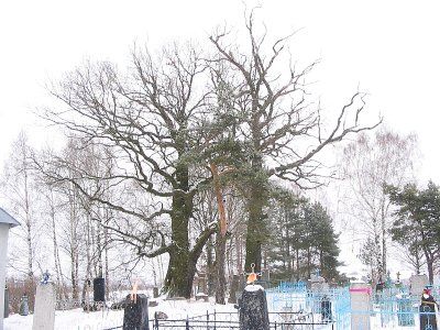 Фотозарисовки