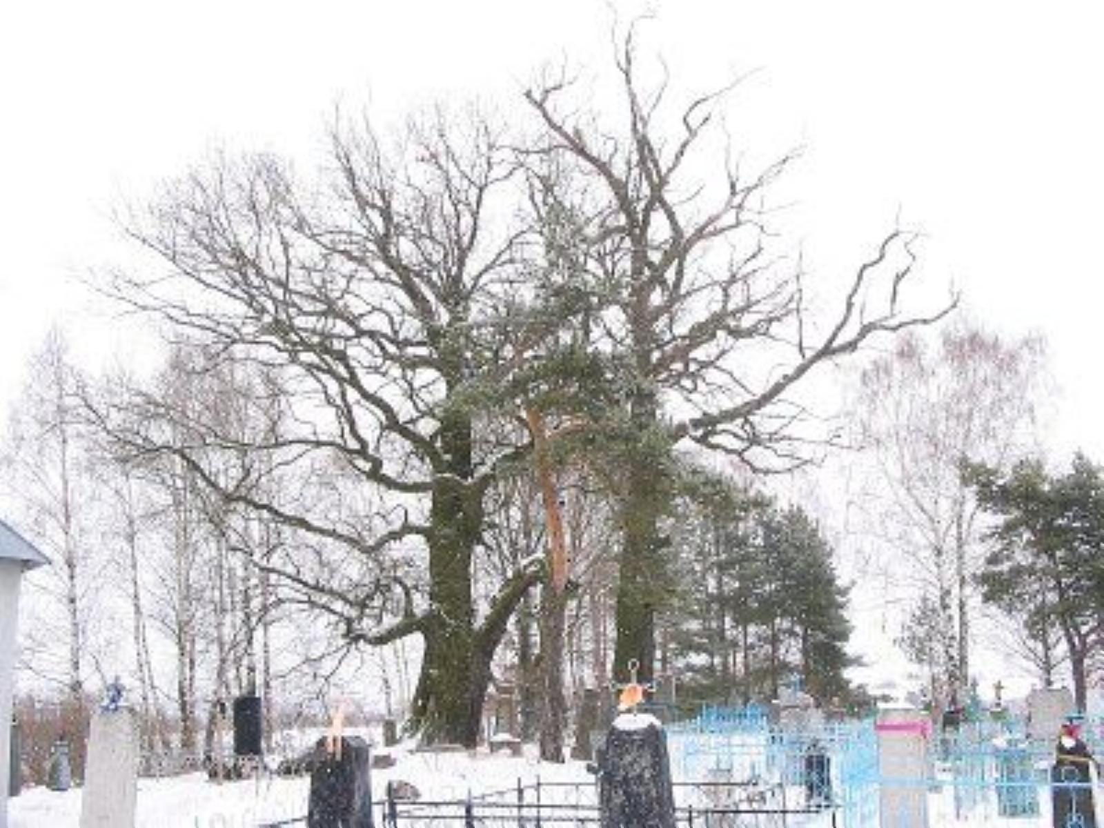 Фотозарисовки Фотозарисовки