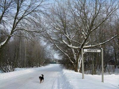 Интересное название