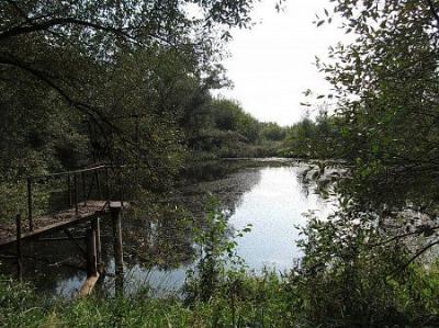 Парк (фрагменты)