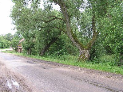 Парк (фрагменты)