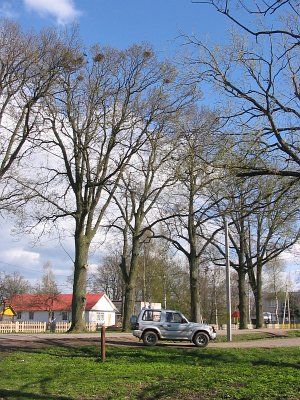 Фотозарисовки