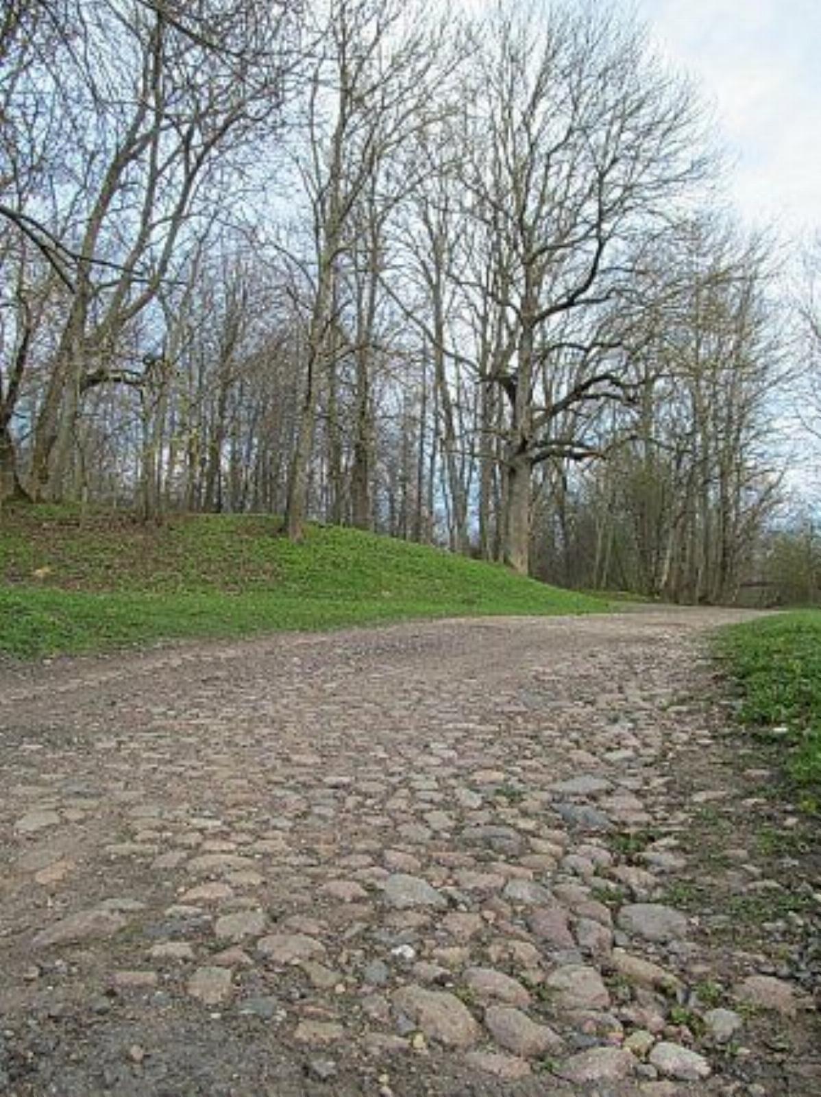 Парк (фрагменты) Парк (фрагменты)