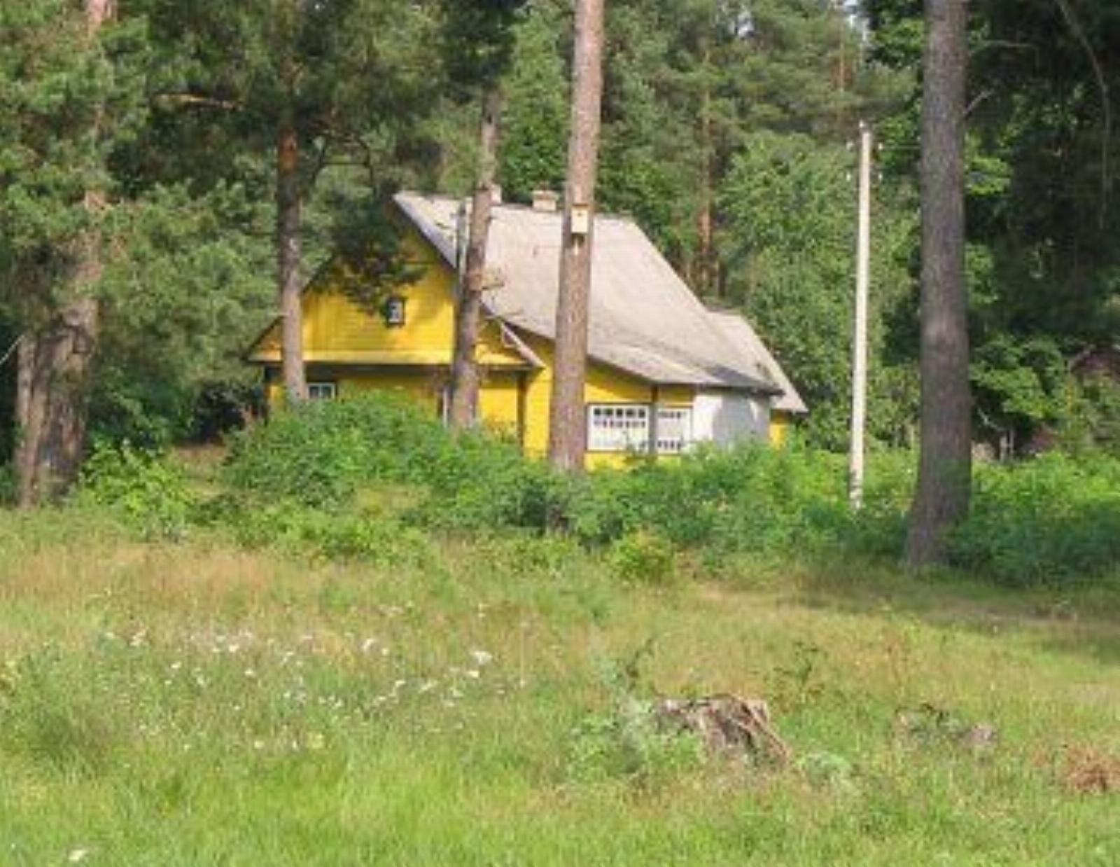 Плебания (дерев.) Плебания (дерев.)