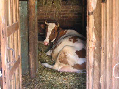 Фотозарисовки