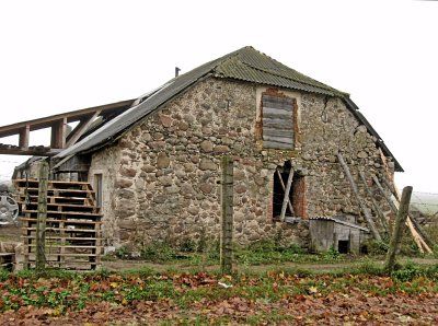 Хозяйственные и служебные постройки