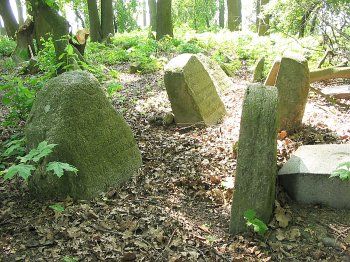 Кладбище татарское