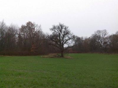 Усадьба Ордов Новощицы