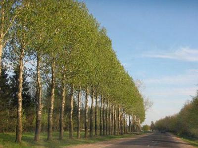 Фотозарисовки