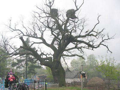 Фотозарисовки