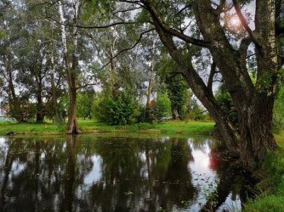 Парк (фрагменты)